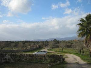 Uitzicht vanaf de B&B nabij Costitx, Mallorca