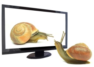 shutterstock_50121844