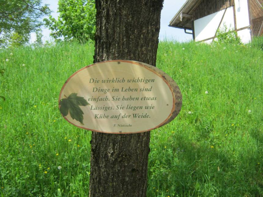 Boom bij de ingang van de Herrmannsdorfer Landwerkstätten.