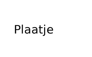 plaat